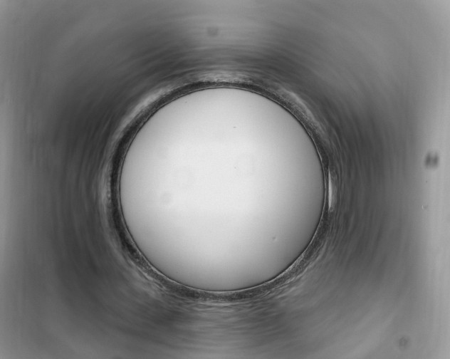 X0000102350531200808010938