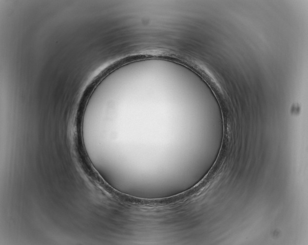 X0000102350532200808010938