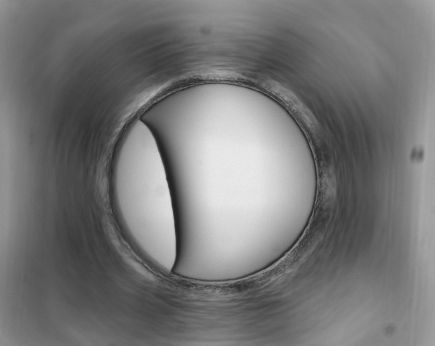 X0000102350533200808010938