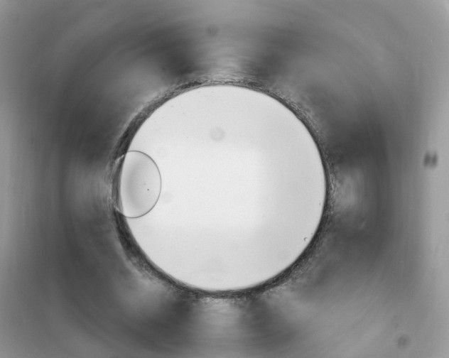 X0000102350534200808010938