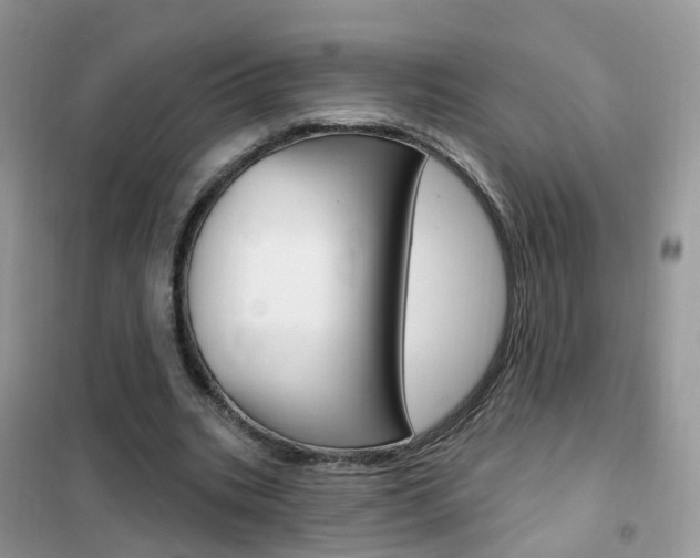 X0000102350535200808010938