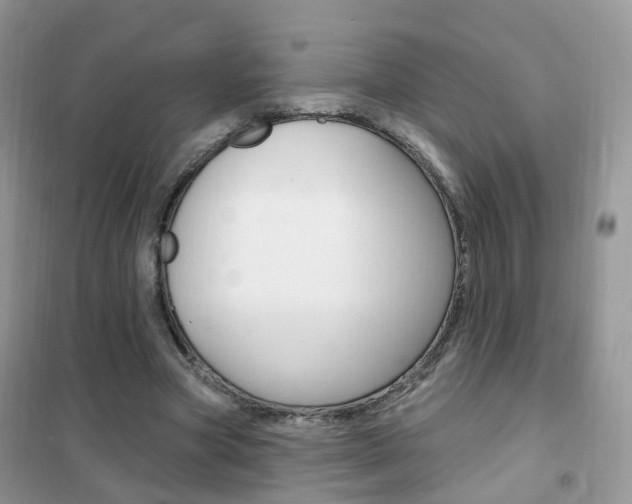 X0000102350537200808010938