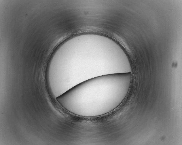 X0000102350538200808010938