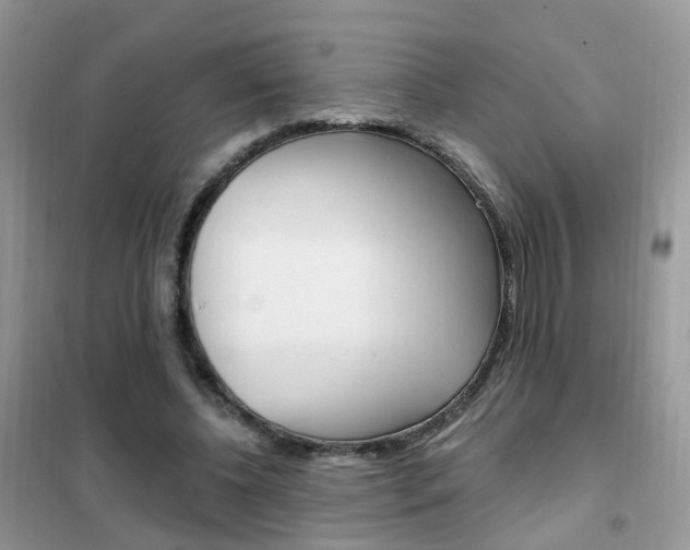 X0000102350540200808010938