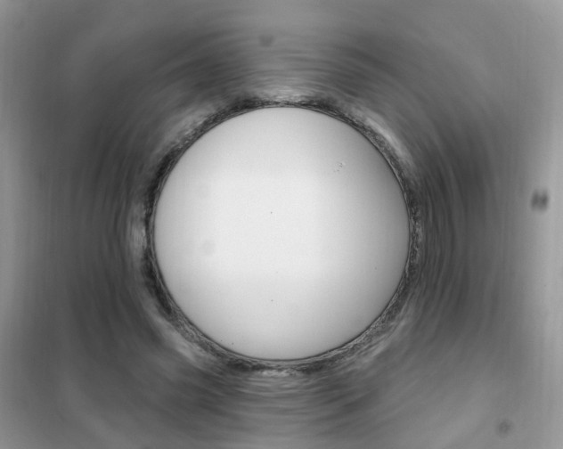 X0000102350541200808010938