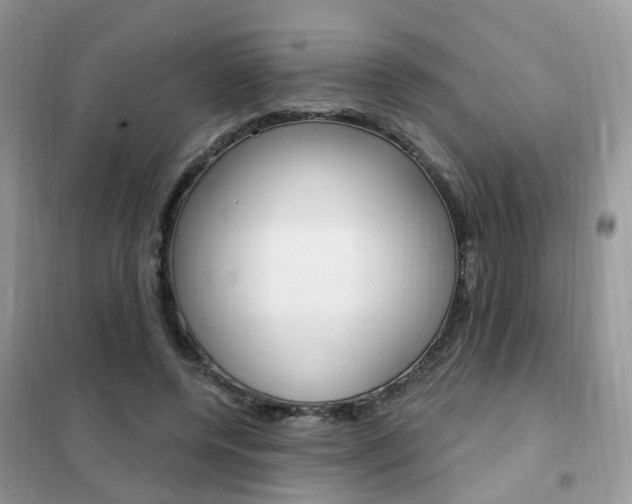 X0000102350544200808010938