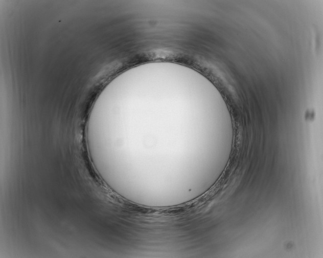 X0000102350545200808010938
