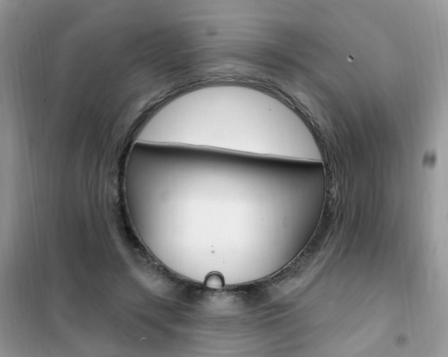 X0000102350547200808010938