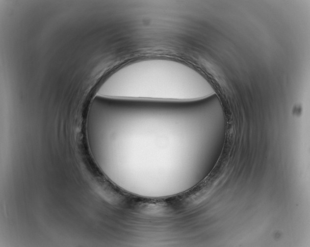 X0000102350548200808010938