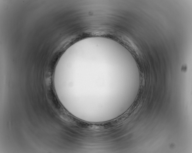 X0000102350549200808010938
