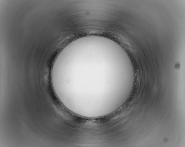 X0000102350550200808010938