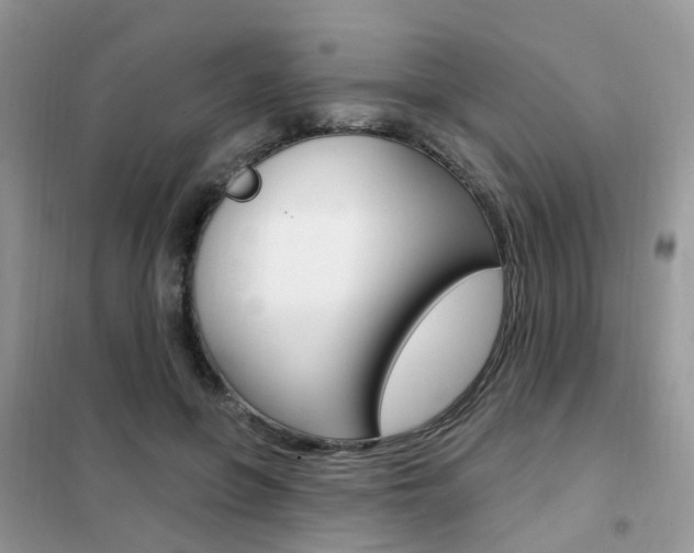 X0000102350551200808010938