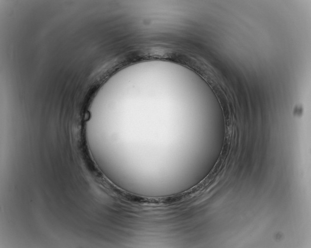 X0000102350552200808010938