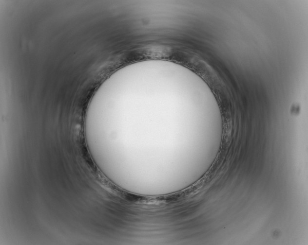 X0000102350553200808010938