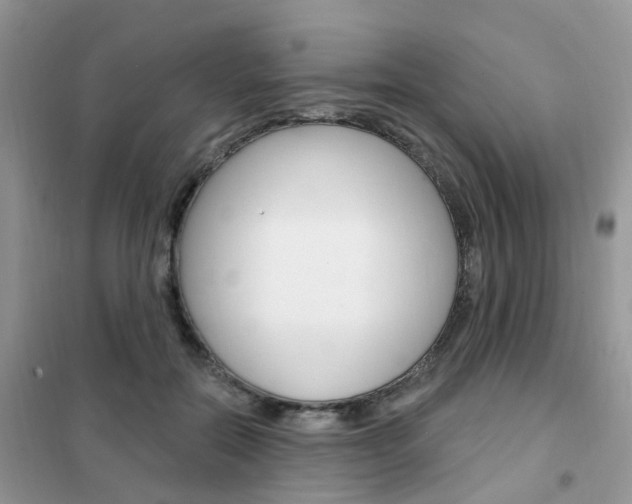 X0000102350554200808010938