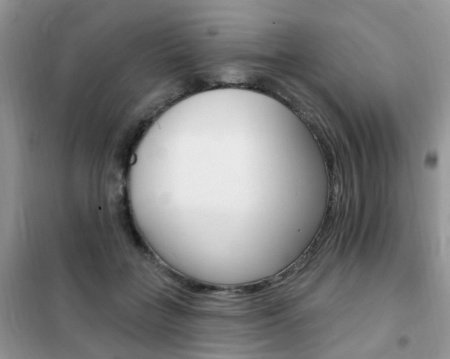X0000102350555200808010938