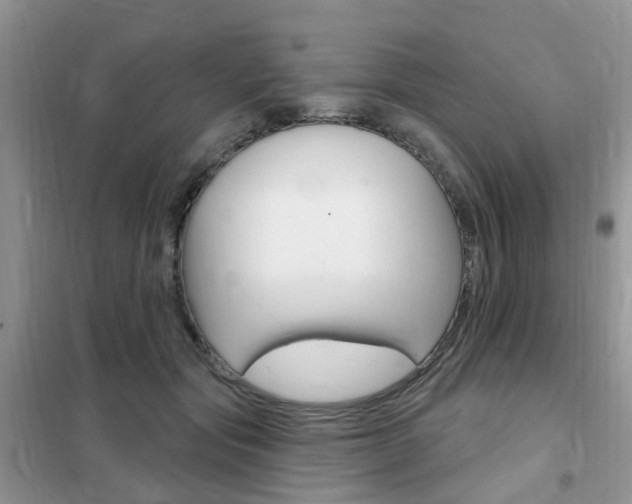 X0000102350557200808010938