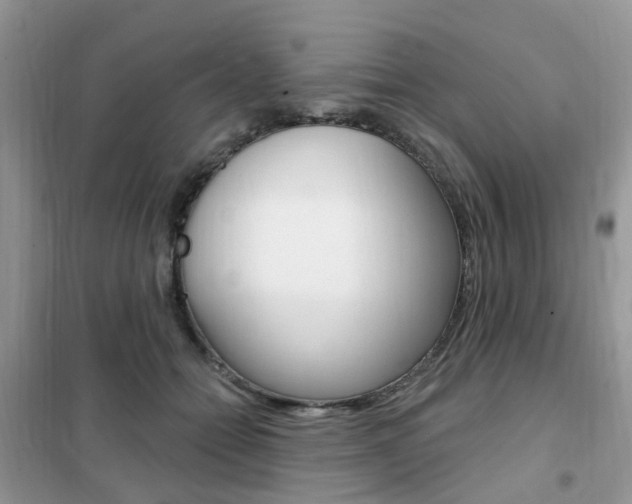 X0000102350558200808010938