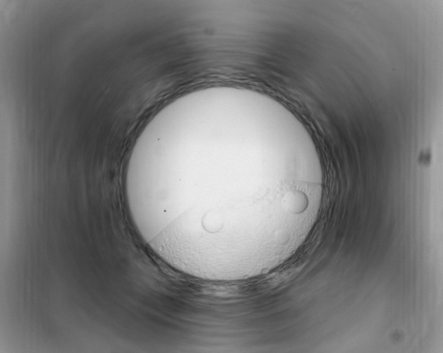 X0000102350559200808010938