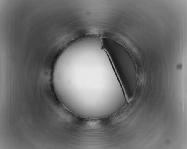 X0000102350560200808010938