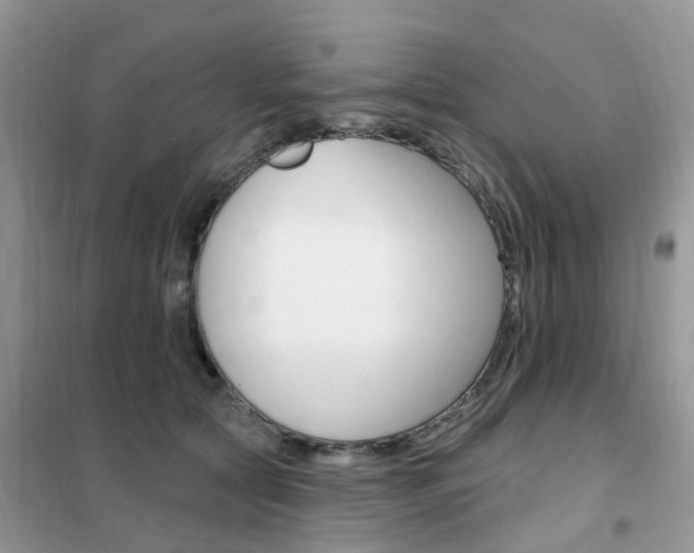 X0000102350561200808010938