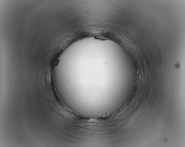 X0000102350562200808010938