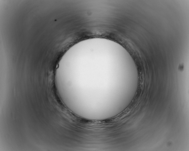 X0000102350563200808010938
