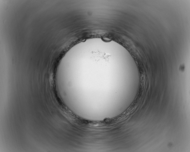 X0000102350564200808010938