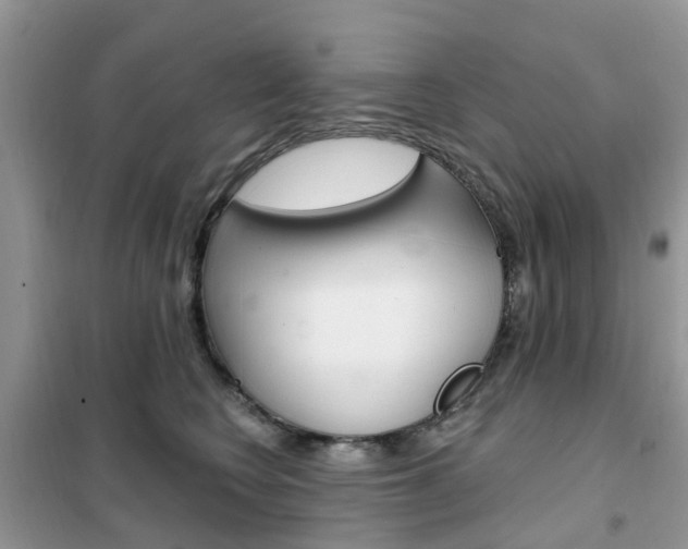 X0000102350566200808010938