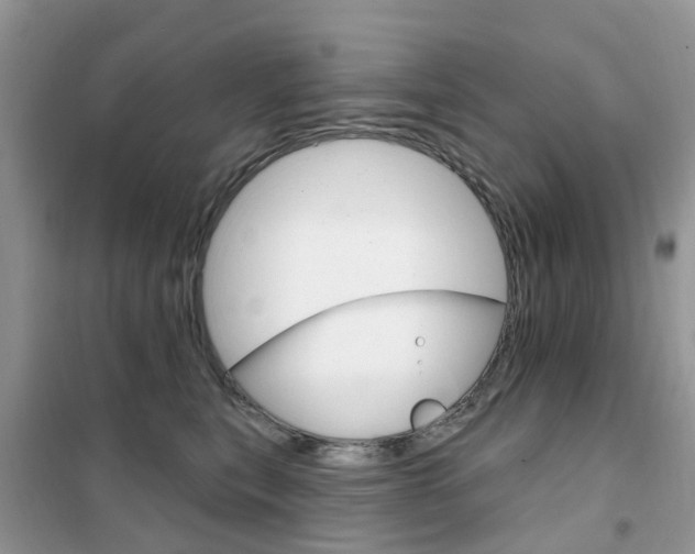 X0000102350567200808010938