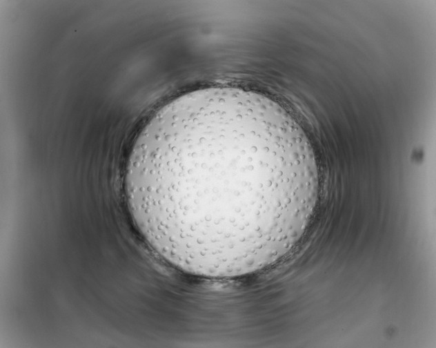 X0000102350569200808010938