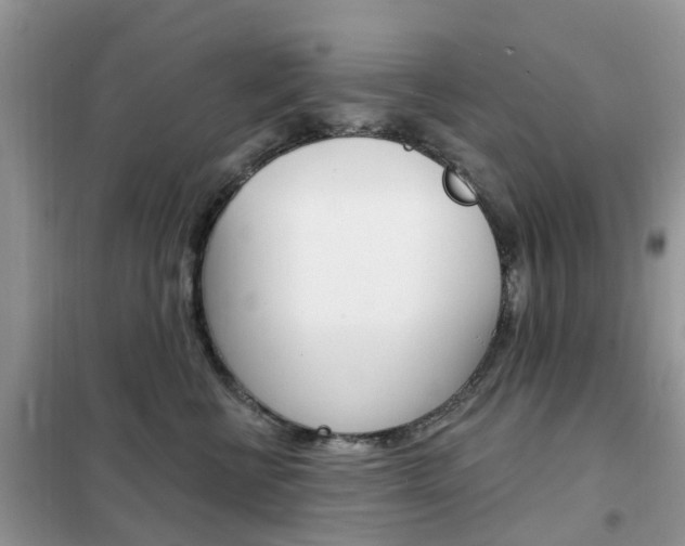 X0000102350570200808010938