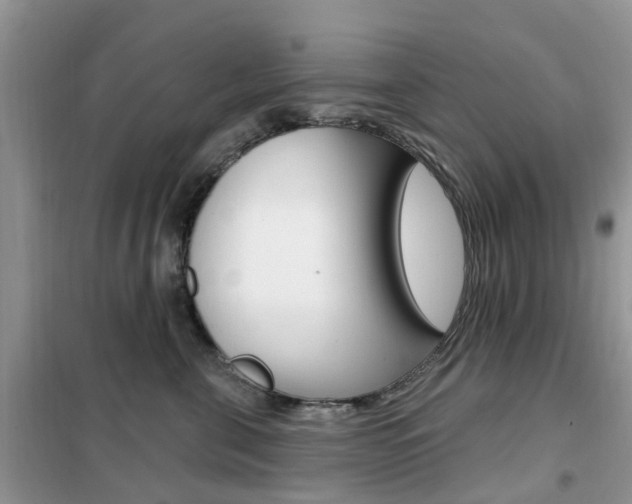 X0000102350571200808010938