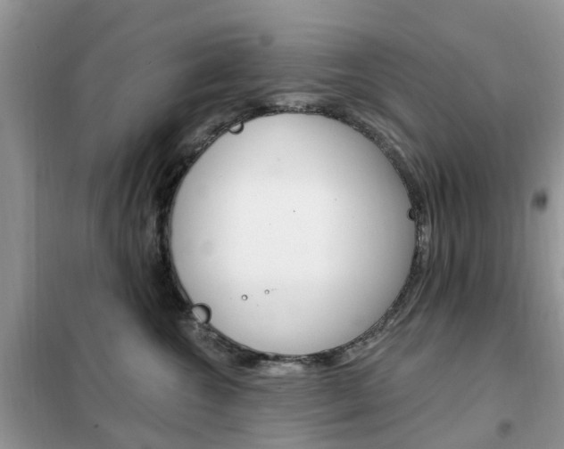 X0000102350572200808010938