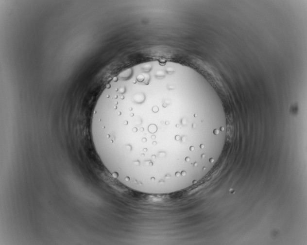 X0000102350573200808010938