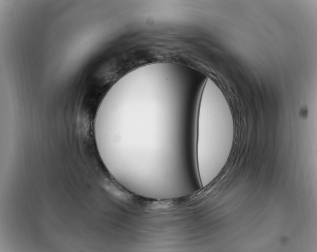 X0000102350574200808010938