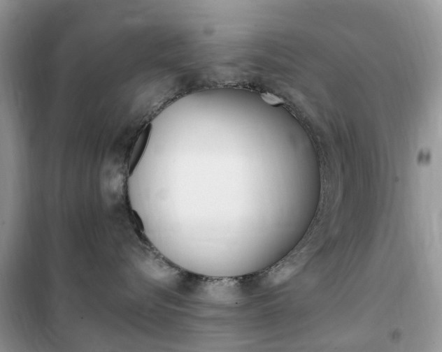 X0000102350576200808010938