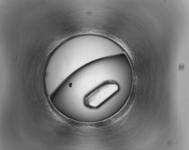 X0000102350577200808010938