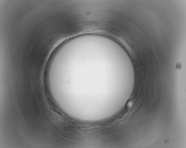 X0000102350579200808010938