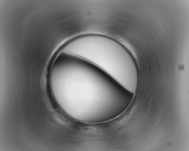 X0000102350580200808010938