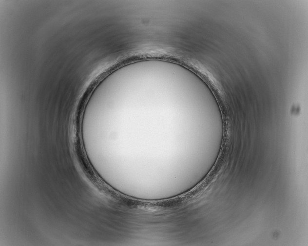 X0000102350582200808010938