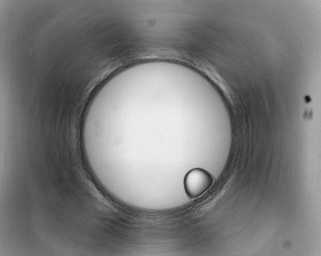 X0000102350585200808010938