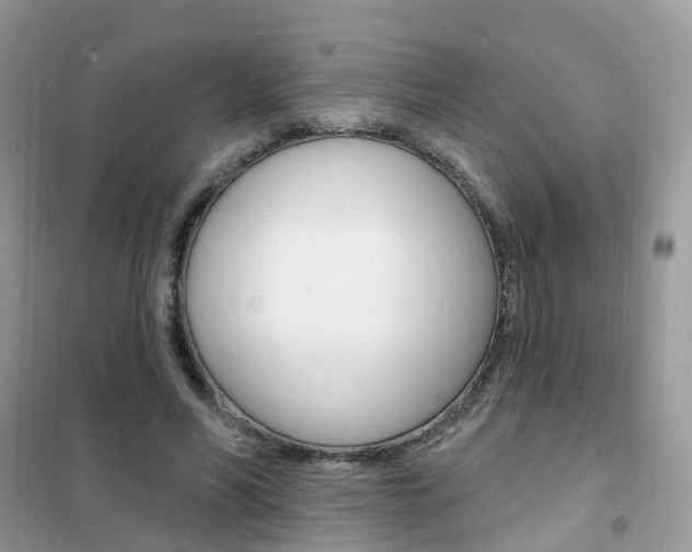 X0000102350590200808010937