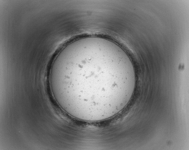 X0000102350592200808010937