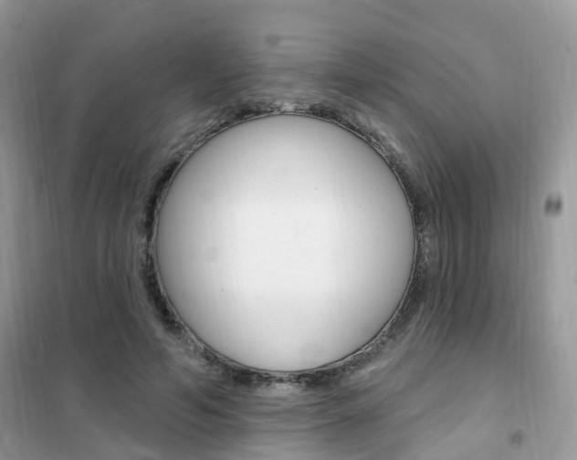 X0000102350594200808010937