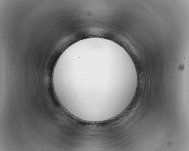 X0000102350597200808010937