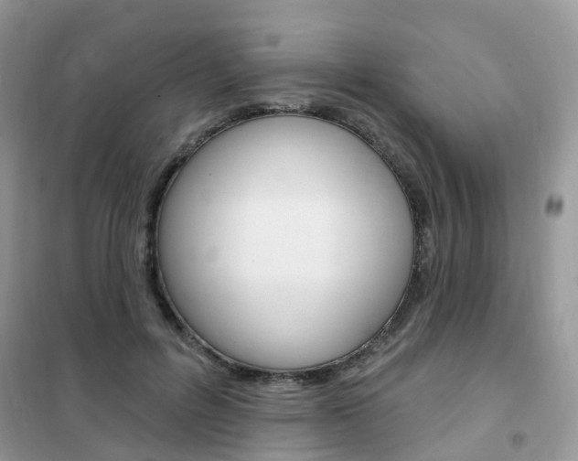 X0000102350600200808010937