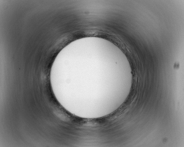 X0000102350601200808010937