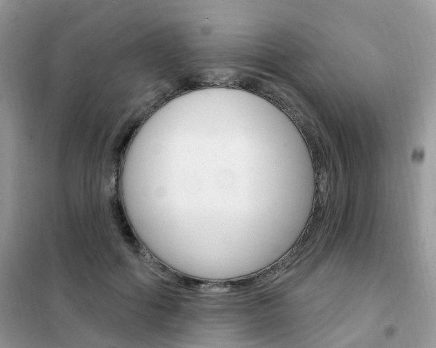 X0000102350602200808010937
