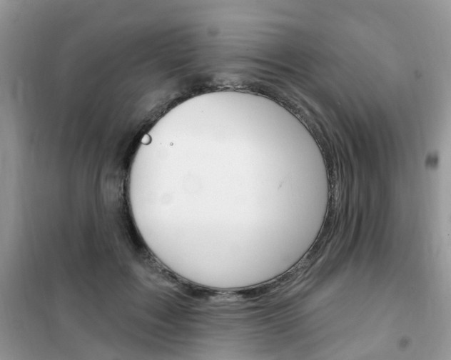 X0000102350603200808010937